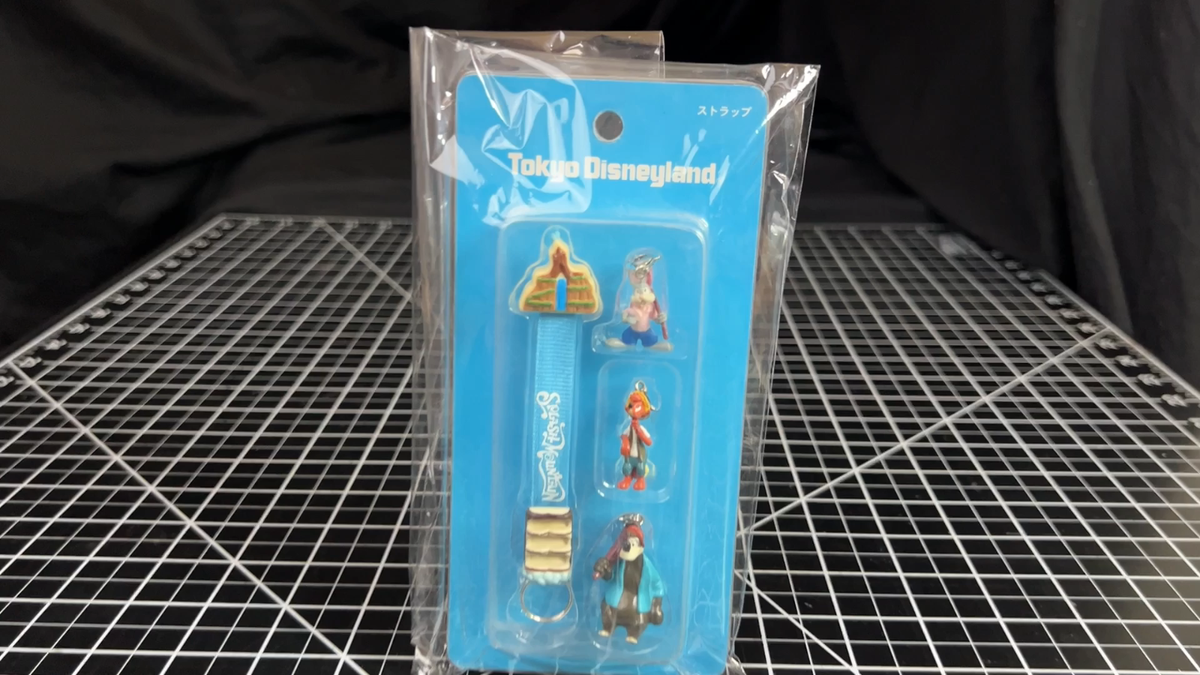Tokyo Disneyland Splash Mountain Keychain Strap Critter Tokyo Disneyland Splash Mountain Keychain Strap Critter