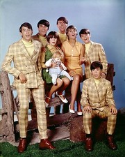 Cowsills 10" x 8" Photograph