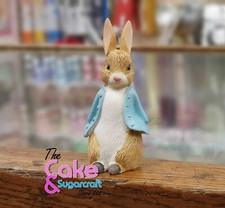 Peter Rabbit Resin Cake Topper Decoration Figure Model Beatrix Potter 