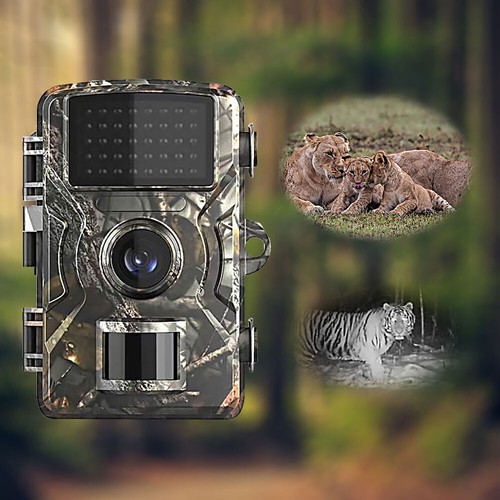 1080P 12MP Trail Wildlife Camera Trap Game Hunting Cam IR Infrared Night VisiVN - Picture 7 of 12
