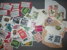 Bild 2 von 3