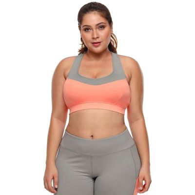 sports bra large