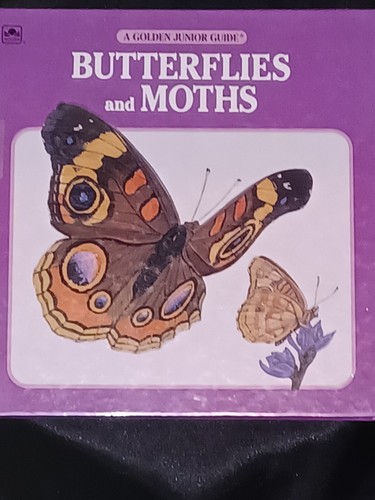 Lot of 3 Butterfly Books - Imagen 2 de 10