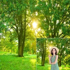 DULUXYKL SPRING BACKDROP GREEN FOREST PHOTO BACKDROPS 10X10FT JUNGLE GRASSLAND