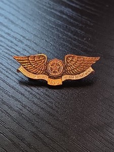 Vtg American Legion Membership Worker Indiana Department 1995 Winged Lapel Pin