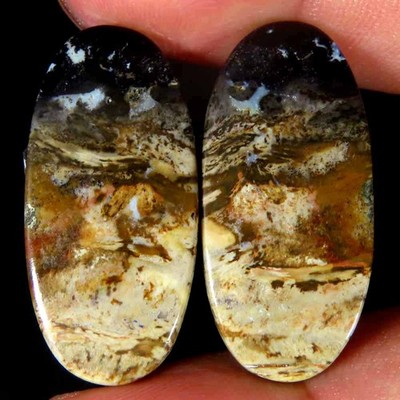 27.10Cts.100% Natural Palm Root Agate Oval Cab 14x29x3mm Royal Pair Top Gemstone