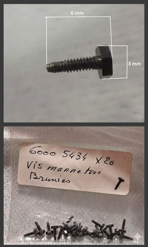 JOUEF / CHAMPAGNOLE 6000 5434 LOT 20 VIS MANNETON HEXAGONALE BRUNIES M1.4 x 6 mm | Zustand: Occasion
