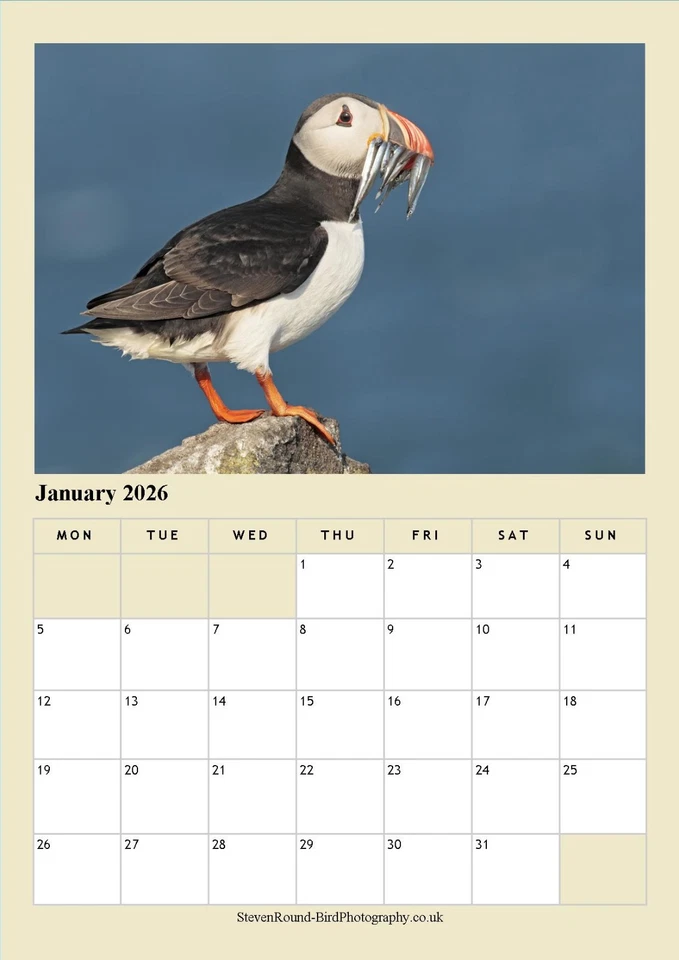 Puffins 2026 A4 Wildlife Calendar (Photography by Steve Round) - Image 3 of 4