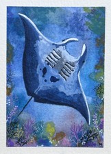  on The Hot Collector