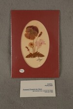 Pressed Dried Flowers Signed Caryl Pohland Rectangle Matt Oval Cut Out Mauve