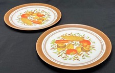 Set of 2 melamine plastic plates - 9.25" diameter - harvest design - made in USA