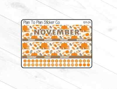 1011-2C~~November 8.5X11 Monthly View Planner Stickers.