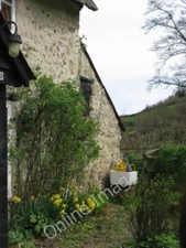 Photo 6x4 A quiet corner at the "Old Bakery" tearoom Branscombe  c2011