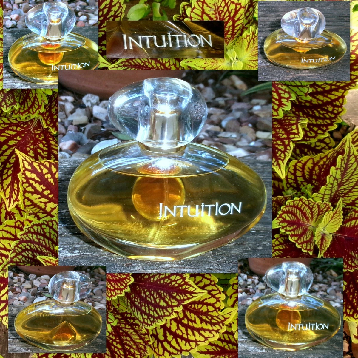 Intuition by Estée Lauder Women's Fragrances for sale | eBay