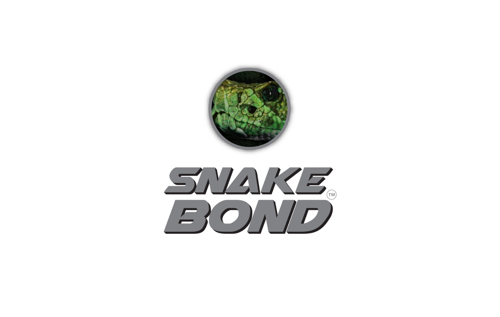 WINDSCREEN WINDOW BONDING GLUE ADHESIVE CAR T5 T6 VAN CAMPERVAN