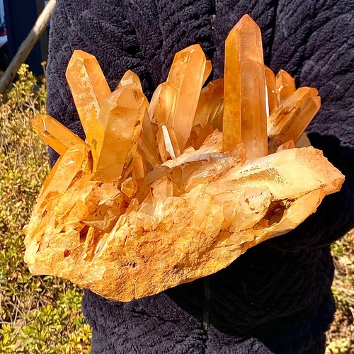 27.76LB Natural yellow Quartz Stone Crystal Cluster Healing Stones Mineral - 第 8/15 張圖片