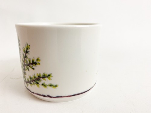 Espalier de Pickard Bone China Charlotte Moss taza plana té café 6 onzas - Imagen 5 de 8