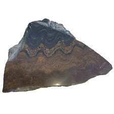 0,49Kg Stromatolith Rohstein Anschliff  Stromatolite Zen Lebensfluß Fossil Nr.c