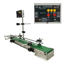 Optical Fiber Intelligent Control Small Belt Conveyor with Double Guardrail 60cm