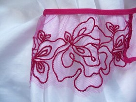 8, Agent Provocateur Juni brief, pink & red  mesh, AP size 2, NEW