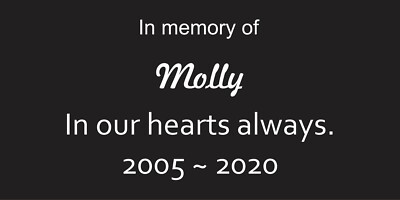 Pet Memorial Plaque  (Durablack)