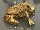 Frog Hinged Trinket, Saccharin, Pill box