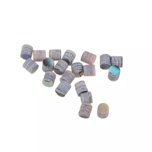 Musiclily Pro 20Pcs 2mm Natural Paua Abalone Shell Guitar Fretboard Inlay Dots
