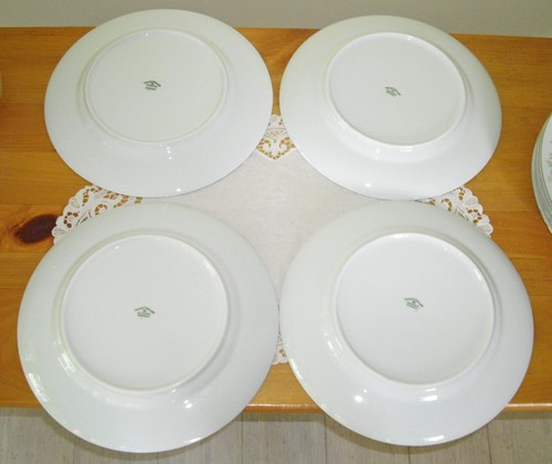 Johann Haviland Bavaria Germany FOREVER SPRING Flowers 10" Plates ~ Set of 4 ~ - Picture 9 of 11
