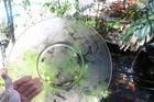Pink Dogwood Depression Glass 11 " Serving Platter Plate MacBeth-Evans USA
