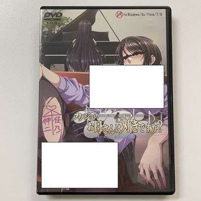 Kanojo no Okaa-san wa Suki Desu ka? Japanese VN PC Game for Windows USED