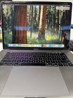 2018 Apple MacBook Pro 15'' Touch Bar i7 2.2ghz - Battery / LCD Lines