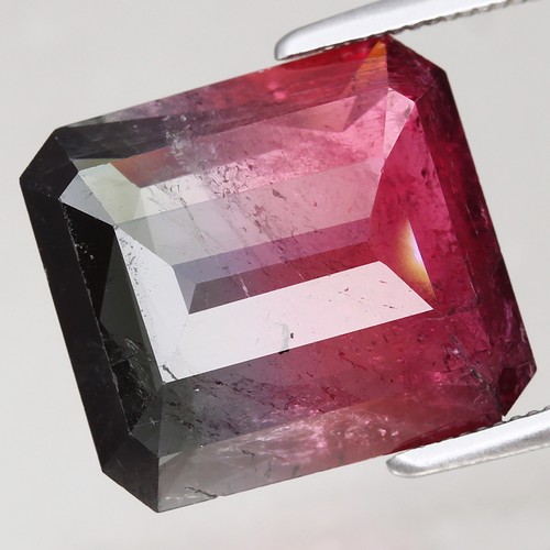 6.84ct 12.6x11.6mm Octagon Natural Unheated Bi-Color Tourmaline Mozambique, Afri - Picture 2 of 4