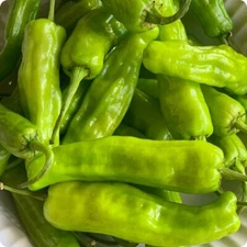 Pepperoncini Pepper Seeds, Italian Heirloom, Non-GMO, Free Shipping