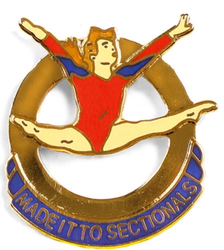 NEW! Gymnastics Pins - Variety to choose from - Picture 25 of 81