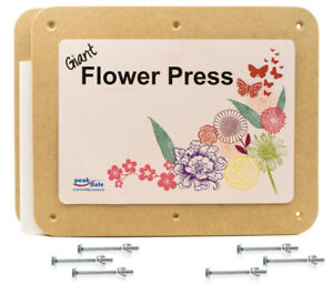 blotting press flower paper mdt 287mm thick giant card