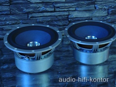 Tannoy 7300 0855 / 1718 Dual Concentric Lautsprecher aus einer eyris DC 3