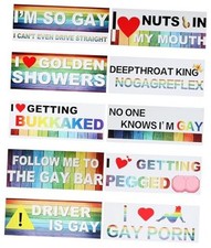 10Pcs Magnetic Bumper Stickers, Funny Prank Stickers for Cars, Trucks