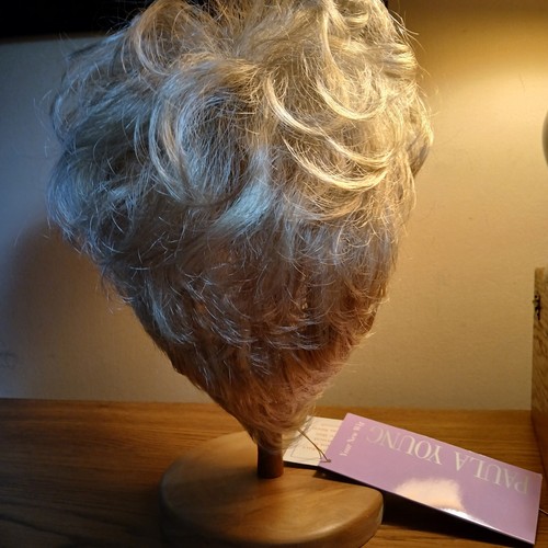 PAULA YOUNG WIG – LANEY #A1244 Avg. – Color # 14/88A Golden Wheat NEW in BOX - Picture 5 of 7