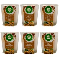 Air Wick Duftkerze Warme VanillepläTzchen 6 X 105G Bis Zu 20H Brenndauer Winter