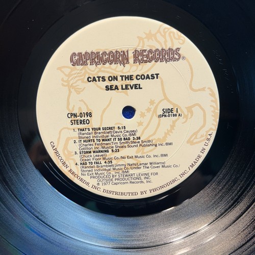 Lot 2 Sea Level 1977 CP 0178, CPN 0198 Vinyl Record LP Album NM/NM - Foto 11 di 15