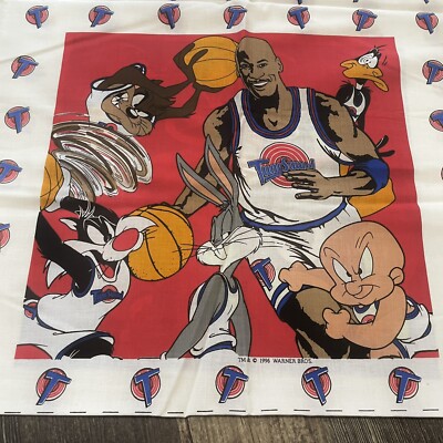 1996 MICHAEL JORDAN SPACE JAM Warner Bros Fabric Panel Basketball
