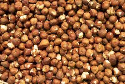 20 Pounds ~   Hazelnuts Filbert Cobnut Hazel Nuts Fresh Shelled ( ONE CASE  )