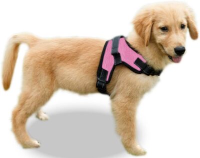 Copatchy No Pull Adjustable Reflective Dog Harness Handle  small large medium
