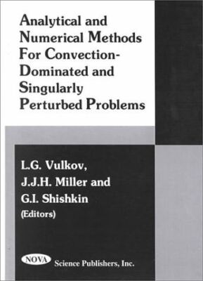 Analytical and Numerical Methods for Convention-Dominated and