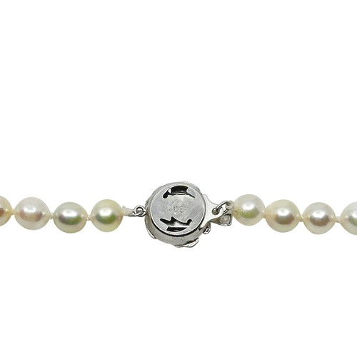 Rosy Semi Baroque Japanese Saltwater Akoya Pearl Necklace Sterling 18.25" Vtg - Picture 3 of 4
