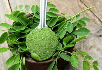 Moringa Oleifera Dried Leaf/Leaves Powder 100%Organic Natural Premium Quality A