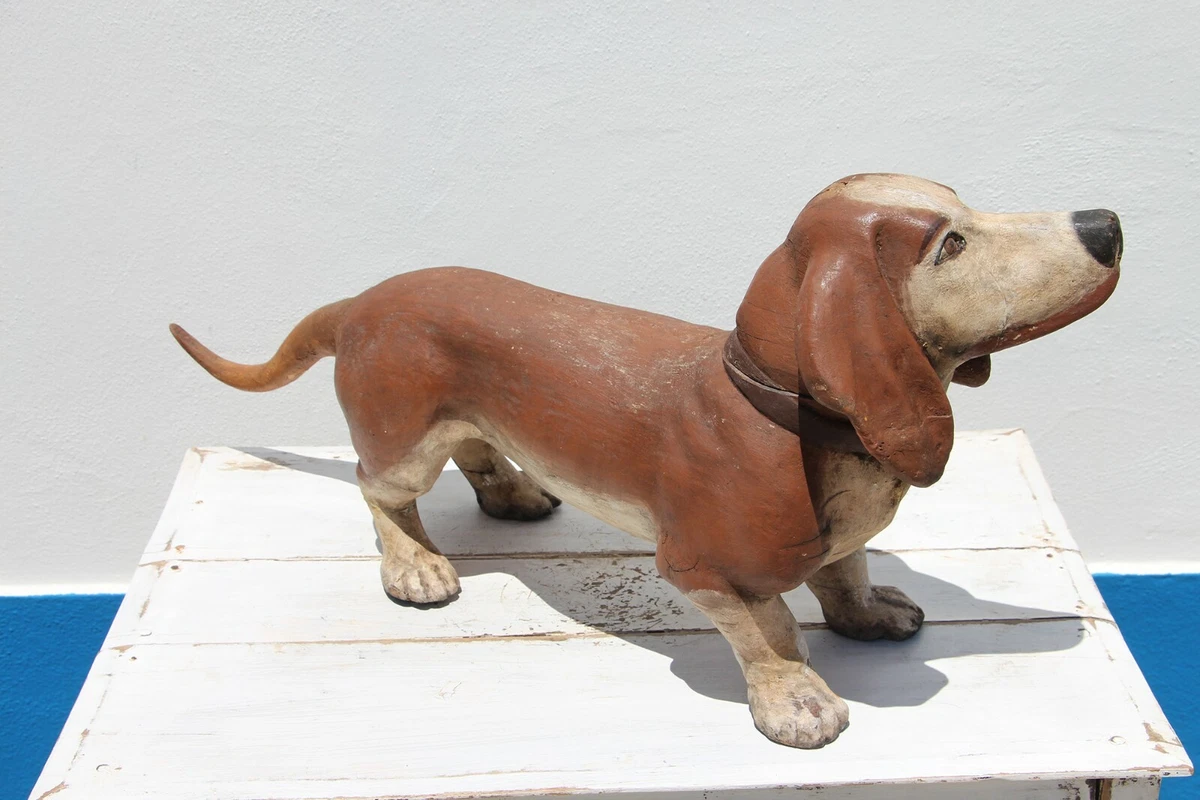 French dachshund sale