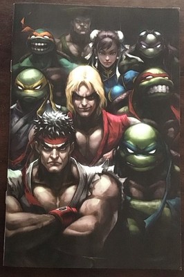 TMNT Vs Street Fighter #5   Tao Virgin Variant  Cover   2023 Comic IDW Turtles