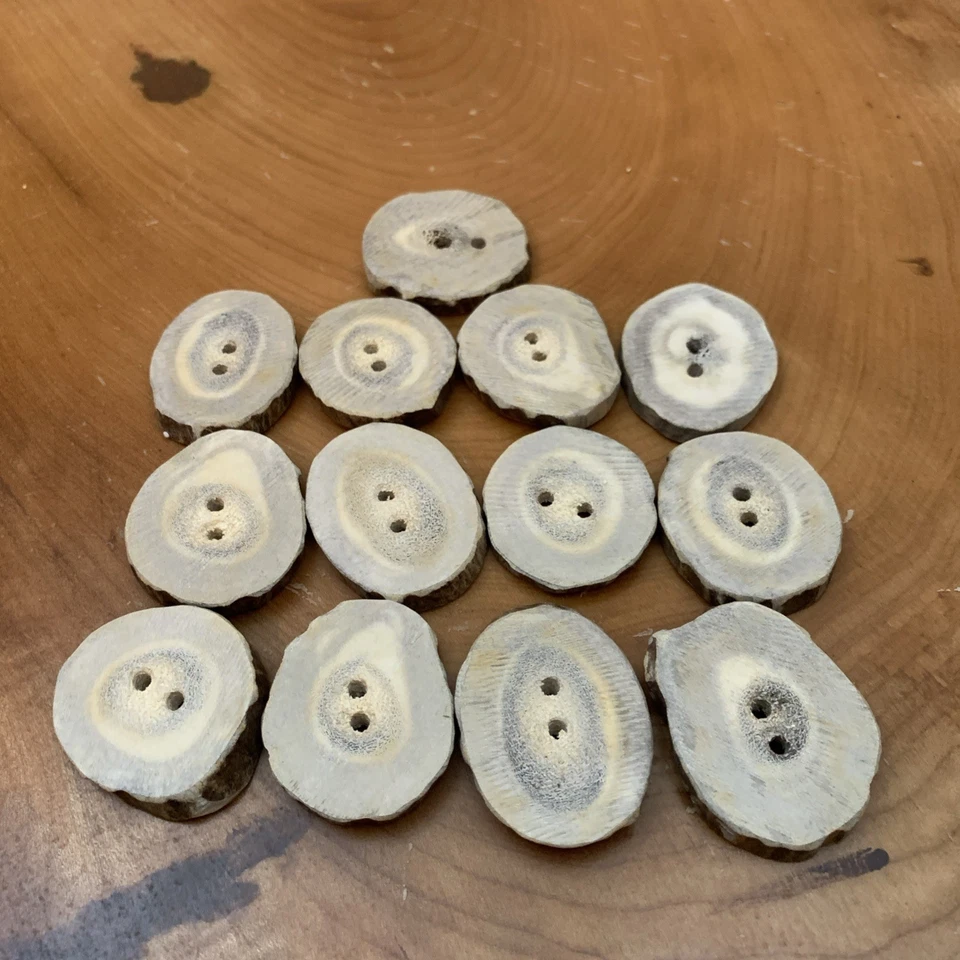 13 Antler Buttons 1 1/4-1 1/2”/ Two Hole Solid Bone / Natural Color - Image 3 of 4