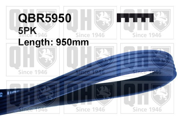 5 Rib Multi V Drive Belt QBR5950 Quinton Hazell 07L903137C 07L903137M 5PK947 New